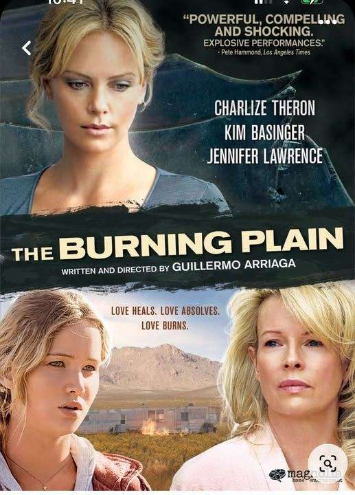 The Burning Plain (2008)