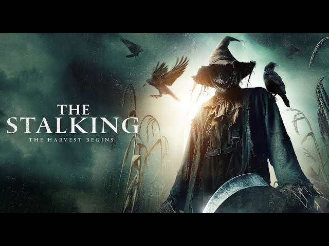 The Stalking (2024)