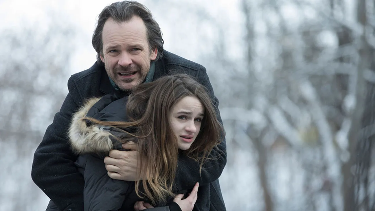 The Lie (2018)